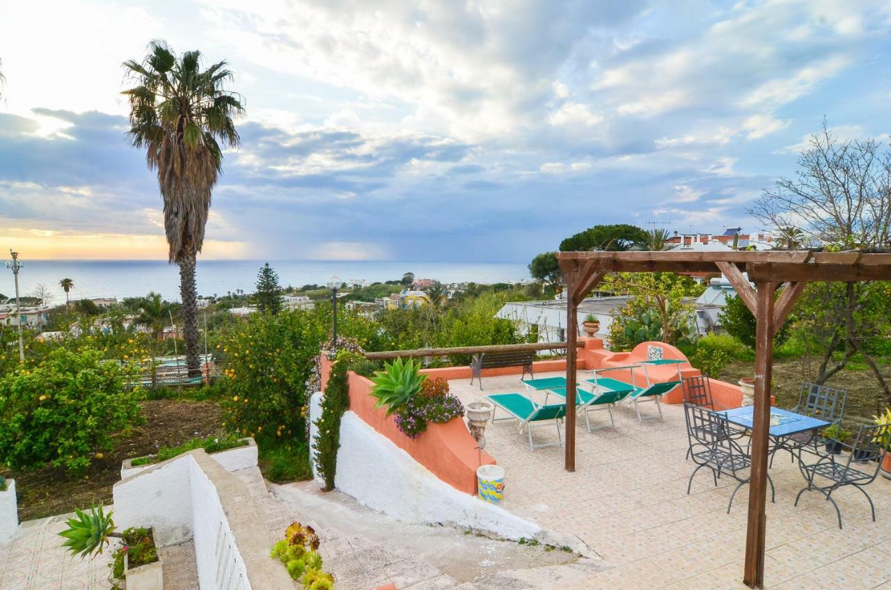 Residence Limoneto Ischia Forio di Ischia Exterior foto